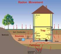 house-radon[1]